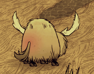 Um Beefalo no cio.