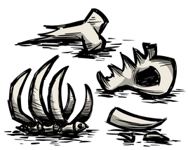 Bones