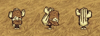 Woodie carrying a Rook Nose.
