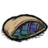 Barnacle Pita.png