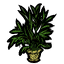 Palm Plantholder
