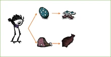 Tallbirds drop meat and lay bigger eggs that all help fill Wolfgang's big belly.