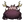 Hippopotamoose