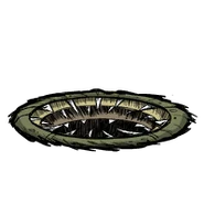 生病的蟲洞開啟