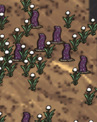 Light Flower Swamp Icon.png