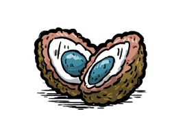 Tall Scotch Eggs Build