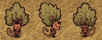 Wortox wearing a Bush Hat.