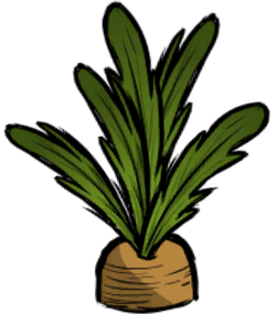 Carrot Plant.png