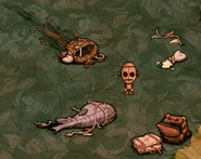 The whole balloon wreck starting area found in Hamlet (if not playing as Wormwood).