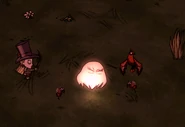 Abigail taking damage from Killer Bees.
