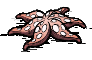 Unused animation of an Anenemy dying.