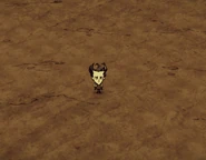 Wilson parado en Suelo Arenoso