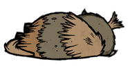 Dead Young Beefalo