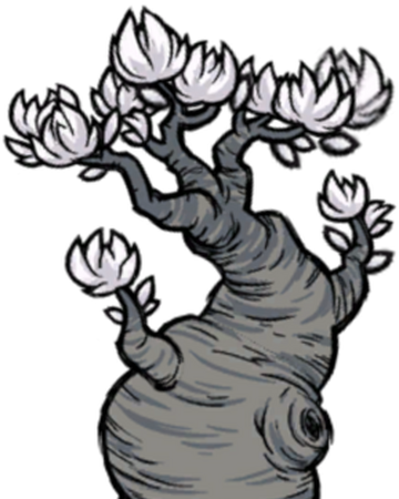 樹 月树 Don T Starve 中文維基 Fandom 樹 月树 Don T Starve 中文維基 Fandom