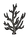 Arbolito planta