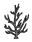 Arbolito planta