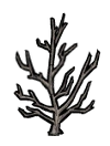 px