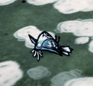 Flop Snowbird.png (74 KB) A flopping Snowbird.