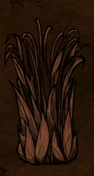 Juicy Berry Bush | Don't Starve Wiki | Fandom