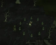 Wigfrid standing in a small Green Mushroom Fairy Ring.