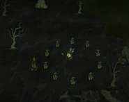 薇格弗德站在小的綠蘑菇仙女環旁邊。