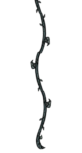 Hanging Vine