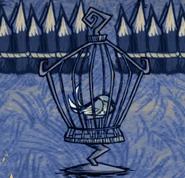 Sleepingcanary.png (109 KB) A caged Canary sleeping.