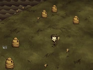 Several Beehives.png (634キロバイト) A colony of five Beehives.