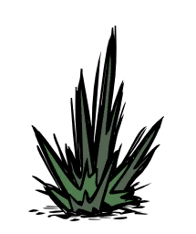 dont starve wiki algae dont starve wiki algae