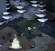 威尔逊砍倒蘑菇树。