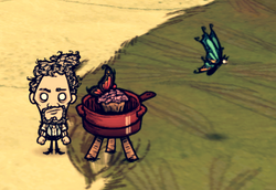 Portable Crock Pot, Don't Starve Wiki