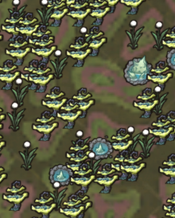 月面洞窟 Don T Starve 中文維基 Fandom
