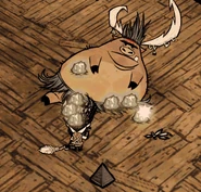 Pig King on some placed Wooden Flooring with an insane Wilson.