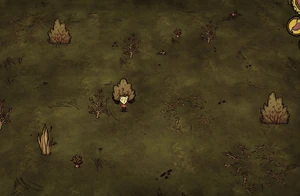 同範囲に3つの巣が存在している。ただし他のオブジェクトは置かれていない