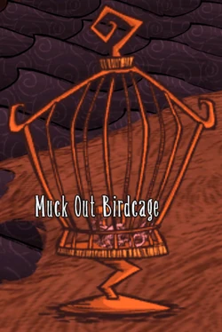 How to Feed Small Bird Don'T Starve: Ultimate Guide to Keep Them Safe