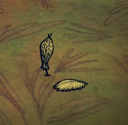 DroppedTropicalParasol.png (327キロバイト) A Tropical Parasol dropped on the ground.