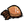 Dead Jellyfish.png