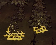 A group of hungry Lavae burning Lumpy Evergreen Trees.