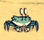 A Crabbit on land