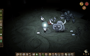 Beefalo in Cave