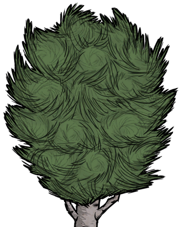 Birchnut Tree Don T Starve Wiki Fandom