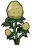 Potato Plant
