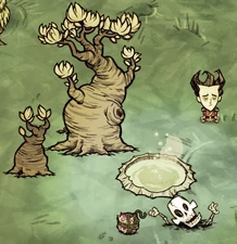 Wilson and the Bath Bombed Hot Spring Set Piece.