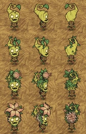 Wormwood wearing a Log Suit.