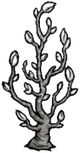 Lunar Sapling