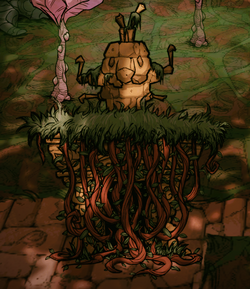 Ancient Pig Ruins Don T Starve 攻略 Wiki Fandom