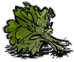 Watercress.png (150 KB)