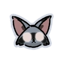 Catcoon emoji in the official Klei Discord server.