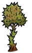 Durian Vine