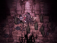 Wickerbottom inside a Pig Ruin's room with 5 Unimportant Pillars.